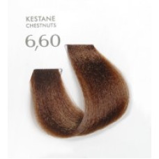 Kestane